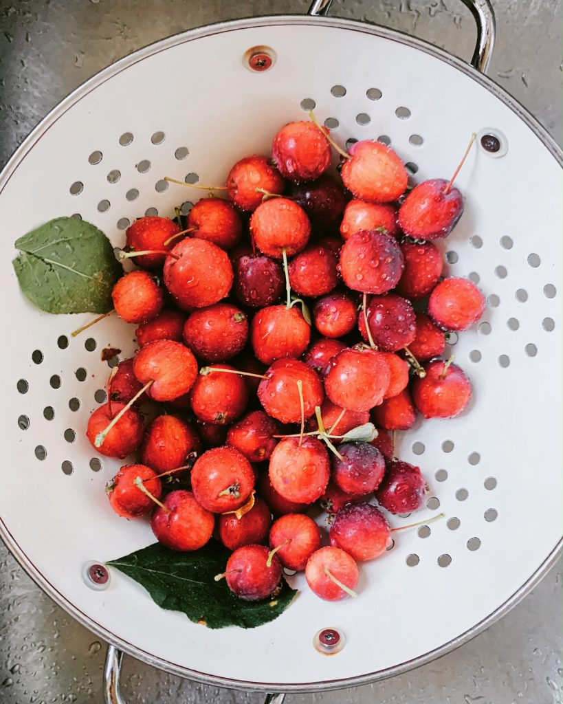 Crabapple Jelly